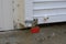 Close-up of a red padlock on the closed roller shutter of the store