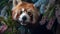 a close up of a red panda surrounded by purple flowers