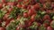 A close-up of a red ripe juicy strawberry slow falls by a group on a tray with berries. Berries background. Slow motion