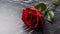 Close Up of a red Rose on a black marble Background