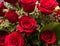 Close up of red rose bouquet with roses