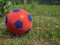 Close-up of a red soccer ball for children on the green grass in front of a country house. Space for text