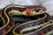 A close up of a red valley garter snake