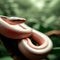 A Close-up of the Red and White Milk Snake\'s Colorful Scales