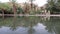 Close-up on the reflection of palm trees on the clear water