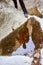 close up of the reflection on a water paddle of a hiker making an effort to climb the canyon on a mountain. The left leg of the