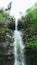 CLOSE UP: Refreshing stream water flowing down moss covered brown stones in a beautiful green forest in Montenegro. Cinematic shot