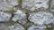 Close-up of the relief of an abandoned stone wall with moss