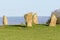 Close up of remains of the Nine Stone Circle in Derbyshire