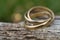 Close-up of a ring with three rings on wooden background