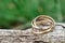 Close-up of a ring with three rings on wooden background