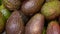 Close Up of Ripe Fresh Avocados in Row at the Grocery Store