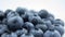 Close-up of ripe juicy blueberries on a white background