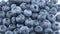 Close-up of ripe juicy blueberries on a white background