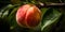 close-up of a ripe juicy peach hanging from a tree three generative AI