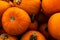 Close up of ripe orange pumpkins