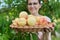 Close-up ripe plucked peaches in wicker plate in hands of woman farmer