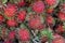 Close-up of ripe rambutan fruits, showcasing their exotic appeal and enticing colors