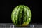 Close-up of a ripe round dark green watermelon with a few cubes of ice, on a black background. Natural organic summer berries.