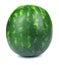 Close-up of ripe round green watermelon, isolated on a white background. Natural organic summer fruits and berries for breakfast.