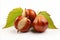 Close-up of Ripe Sweet Edible Chestnuts, Healthy Fall Harvest Food