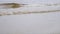 Close up for river waves on a sandy shore. Stock footage. Small waves washing up a river shore with light brown sand in