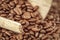 Close-up of Roasted coffee beans, selective focus. Coffee industry, coffee making, service, catering concept