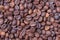 Close up of roasted coffee beans. top view. mock-up