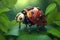 Close up of a robot ladybug sitting on leaves in the outdoor. Generative AI
