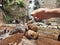 Close up of rock formations with Dolo waterfall in the background in Kediri Regency, East Java, Indonesia