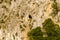 The close-up on the rocks of Pont dArc in the Gorges de lArdeche in Europe, France, Ardeche, in summer, on a sunny day