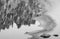 Close up on rocks surrounded by frozen ice plaques in winter season lake in black and white