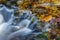 Close-Up of a Rocky Mountain Stream