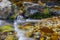 Close-Up of a Rocky Mountain Stream