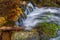 Close-Up of a Rocky Mountain Stream