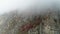 Close-up of rocky mountainside in clouds covered small trees with green, yellow and red leaves. Shot. Colorful mountain