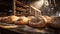 Close up of rolls stacked in a bakery, Fresh bread