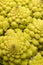 Close-up Romanesco cauliflower