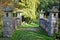 A close up of this Romantic stone bridge with tree`s and shrubs of all different sizes and shapes in the background