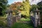 A close up of this Romantic stone bridge with tree`s and shrubs of all different sizes and shapes in the background