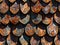 A close up of a roof with rusty tiles