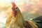 Close up of a rooster`s head, isolated on blurred background.