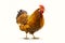 Close up of rooster standing on white background with red comb. Generative AI