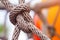 Close-up of rope knot line tied together