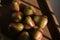 Close up Rose apple or jambu on dark background under sunlight.