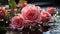 Close-up of a rose in flowing water with daylight