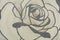 Close up of rose wallpaper