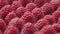 Close up the rotation raspberries. Fresh, juicy raspberry background, ripe vitamin fruits. Macro red raspberry fruit