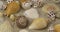 Close-up. Rotation of seashells and stars lying in the sand. Beach background.