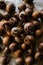 Close-up of rotten medlar fruits